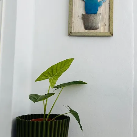 Casa Tin Tin Lanzarote